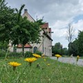 Schmiede im Sommer