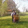 Frühlingstag in Naichen